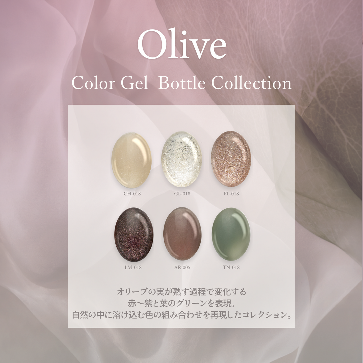 Olive オリーブ[6本]