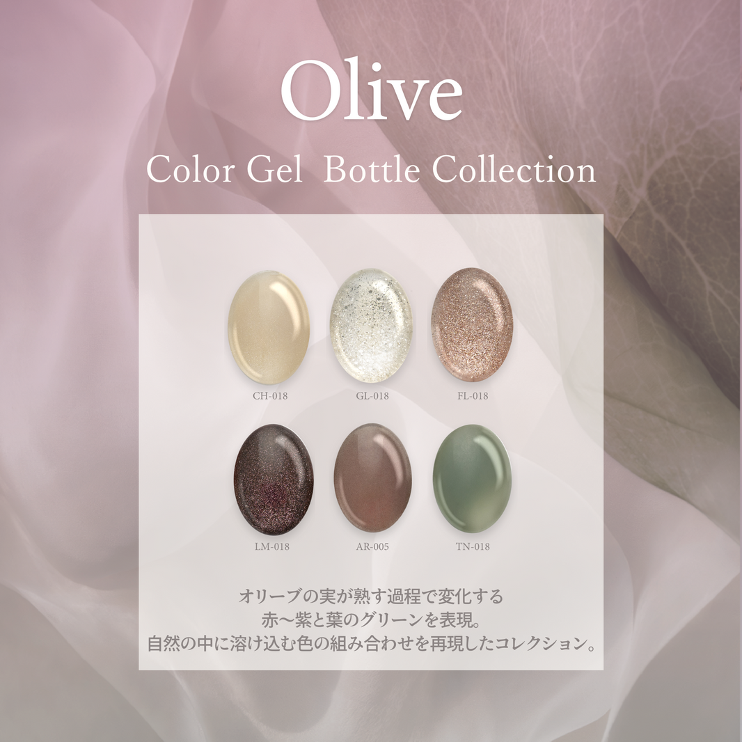 Olive オリーブ[6本]