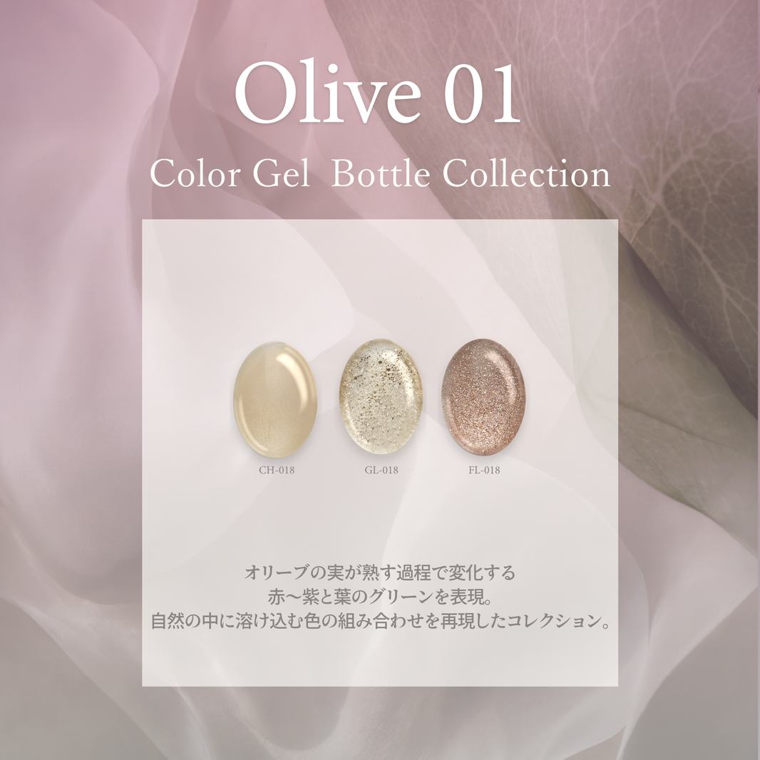 Olive オリーブ01[3本]