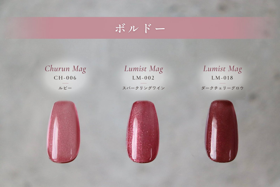 シーズンBOX ボルドー