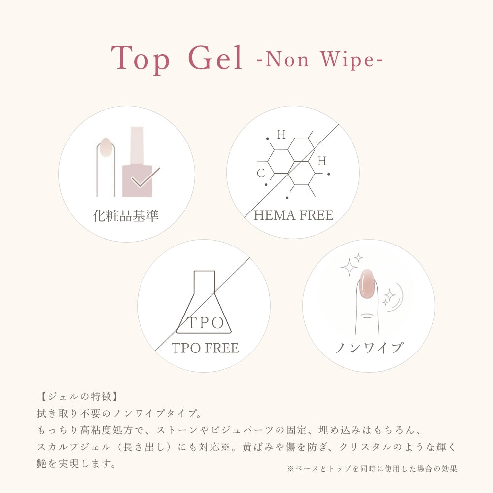 Top Gel ノンワイプトップジェル[5g]