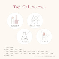 Top Gel ノンワイプトップジェル[25g]